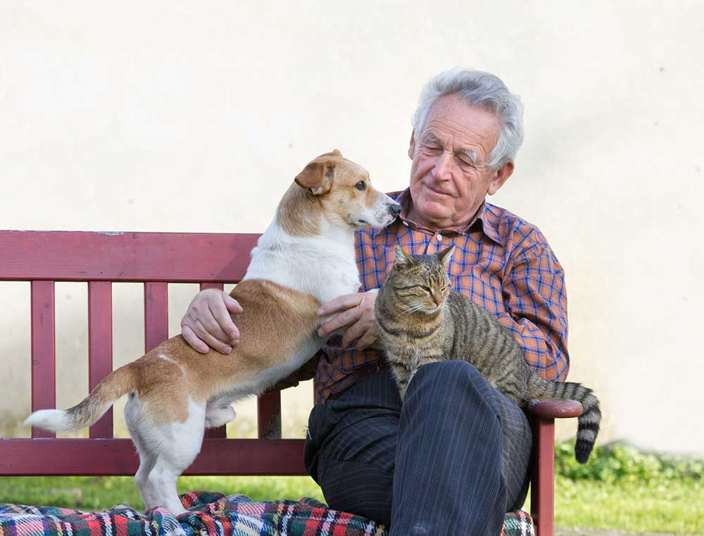 Faire garder son animal de compagnie par un retraité, ce qu’il faut savoir